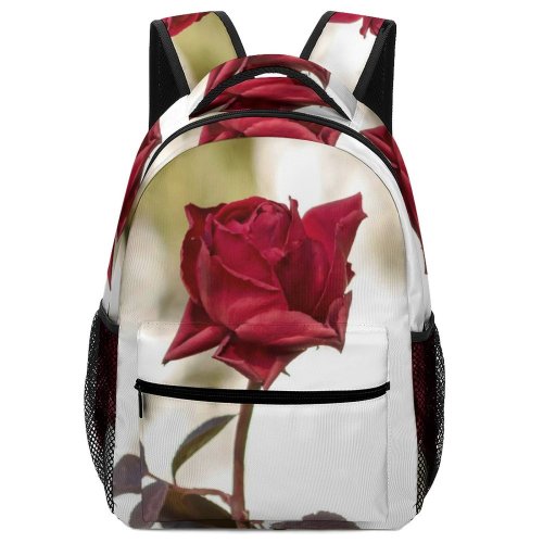 yanfind Children's Backpack Dry Rose Plant Frost Pictures Winter Flower Beautiful  Images Preschool Nursery Travel Bag