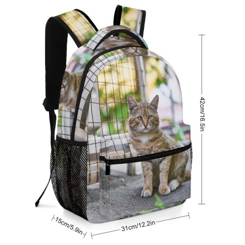 yanfind Children's Backpack Outdoors Cute Little Young Portrait Kitten Pet Wait Fur Garden Leaf Preschool Nursery Travel Bag