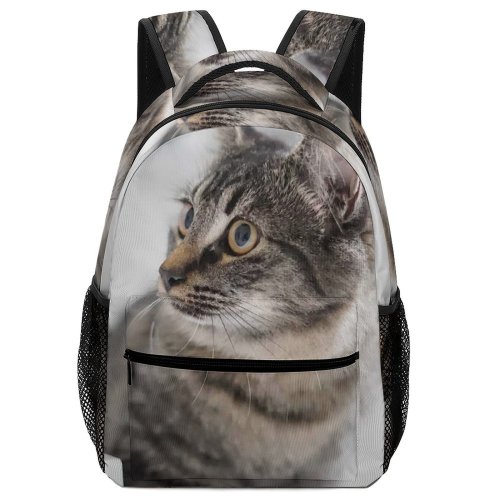 yanfind Children's Backpack Funny Curiosity Sit Cute Little Young  Tabby Family Pet Whisker Fur Preschool Nursery Travel Bag