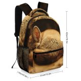 yanfind Children's Backpack Outdoors Cute Sepia Sleeping Cat Little Young Kitty Kitten Pet Fur Preschool Nursery Travel Bag