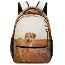 yanfind Children's Backpack  Focus Golden Dog Rural Depth Sunset Field Pet Sunrise Fur Outdoors Preschool Nursery Travel Bag