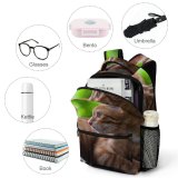 yanfind Children's Backpack Funny Curiosity Sit Cute Sleep Cat Young Little  Portrait Pet Whisker Preschool Nursery Travel Bag