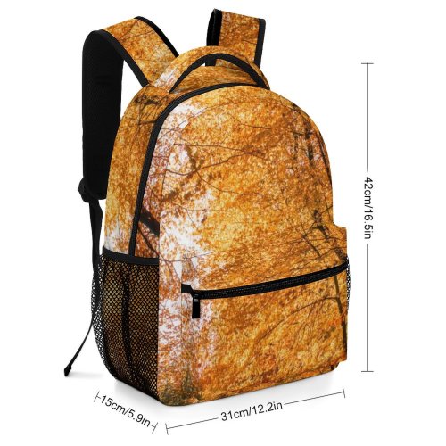 yanfind Children's Backpack Netherlands. Arnhem. Scenery Tree Dutch Nederlands Plant Leaf Hoeferlaan Free Trunk Preschool Nursery Travel Bag