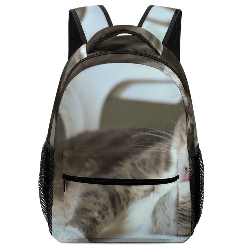 yanfind Children's Backpack Kitty Grey Pet Kitten Portrait Tabby Whiskers Cute Little Licking Adorable Face Preschool Nursery Travel Bag