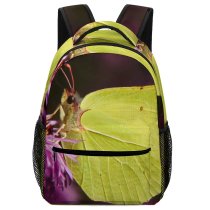 yanfind Children's Backpack Butterfly Insect Invertebrate Public Domain Preschool Nursery Travel Bag