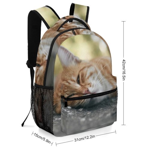 yanfind Children's Backpack Pet Funny Outdoors Kitten Portrait Wildlife Curiosity Cute Little Staring Cat Preschool Nursery Travel Bag