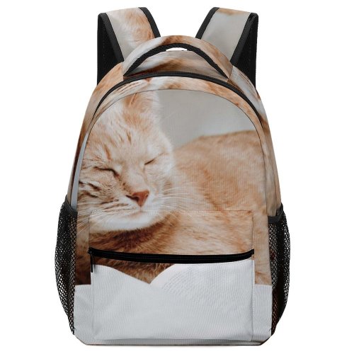 yanfind Children's Backpack Funny Lazy Curiosity Sit Cute Sleep  Bed Family Kitten Whisker Fur Preschool Nursery Travel Bag