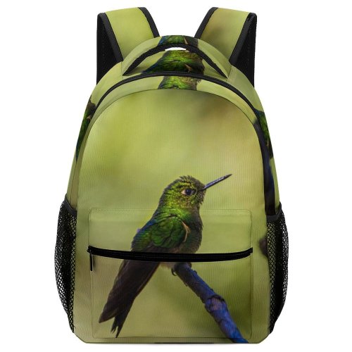 yanfind Children's Backpack Birds Bee Eater Cocora Valley Quindio Hummingbird Preschool Nursery Travel Bag