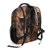 yanfind Children's Backpack Funny Outdoors Cute Little Young  Portrait Kitten Pet Whisker Fur Wild Preschool Nursery Travel Bag