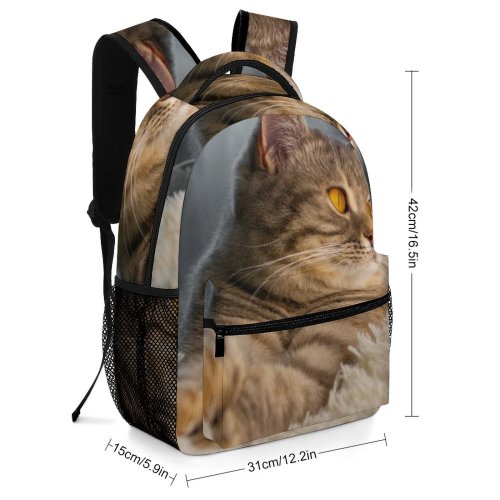 yanfind Children's Backpack Lazy Young Stripe Funny Family Kitten Portrait Curiosity Cute Little Sleep Cat Preschool Nursery Travel Bag