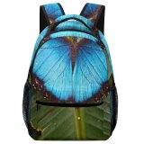 yanfind Children's Backpack Butterfly Insect Invertebrate Macrophotography Insects Photography Insect Flower Instagood Naturelovers Beauty Photooftheday Preschool Nursery Travel Bag