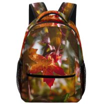 yanfind Children's Backpack Details Tree Veins Leaves Automne Plant Leaf Free Fall France Stock Preschool Nursery Travel Bag