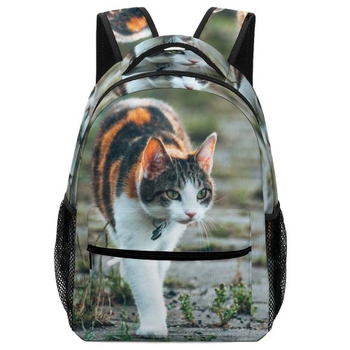yanfind Children's Backpack Grass Pet Funny Outdoors Kitten Portrait Wildlife Cute Little Staring Cat Preschool Nursery Travel Bag