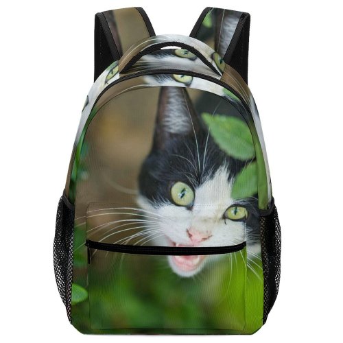 yanfind Children's Backpack Outdoors Cute Little  Wild Beautiful Grass Kitten Whisker Summer Tiny Fur Preschool Nursery Travel Bag