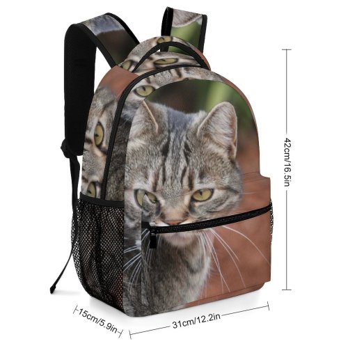 yanfind Children's Backpack Nala Pet Creative Tabby Pictures Kitty Cat Outside Commons Africa Abyssinian Preschool Nursery Travel Bag
