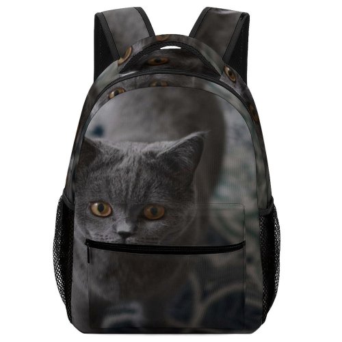yanfind Children's Backpack Young Grey Pet Funny Family Kitten Portrait Curiosity Cute Little Sit Preschool Nursery Travel Bag
