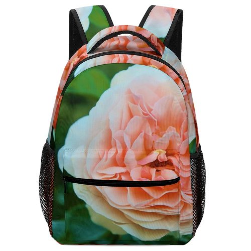 yanfind Children's Backpack Flower Rose Images Free Türkiye Plant Geranium Petal Ankara Stock Preschool Nursery Travel Bag