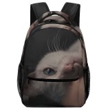 yanfind Children's Backpack Creative Images Cat Pictures Wallpapers Pet Grey Kitten Commons Preschool Nursery Travel Bag