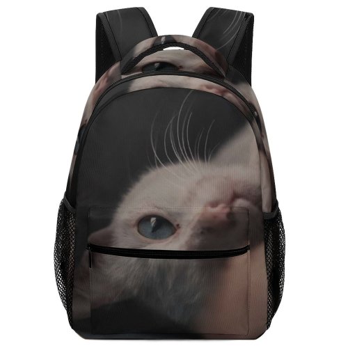 yanfind Children's Backpack Creative Images Cat Pictures Wallpapers Pet Grey Kitten Commons Preschool Nursery Travel Bag