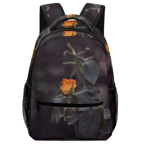 yanfind Children's Backpack  Flower Plant Rose Sarny Рвненська Область Украна Acanthaceae Preschool Nursery Travel Bag