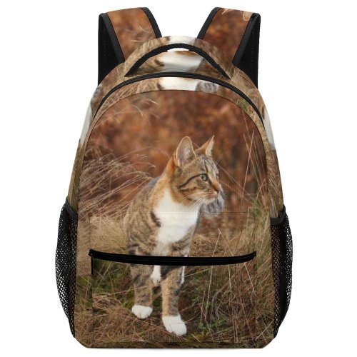 yanfind Children's Backpack Young Grass Pet Wild Outdoors Kitten Portrait Tabby Wildlife Cute Little Face Preschool Nursery Travel Bag