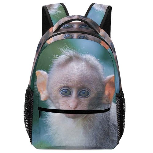 yanfind Children's Backpack  Focus Monkey Park Primate Wild Little Daylight Baby  Wildlife Portrait Preschool Nursery Travel Bag