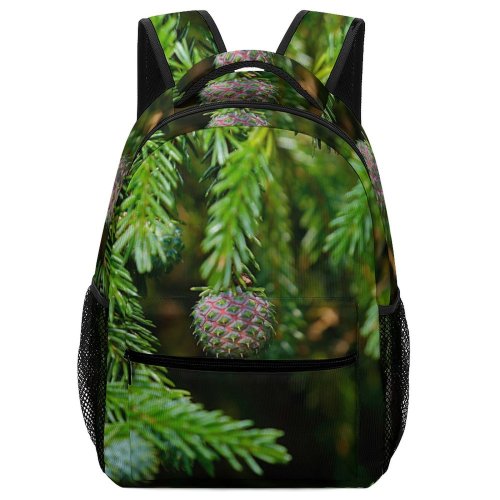 yanfind Children's Backpack Abies Pine Images Conifer Haren Plant Pictures Fir Larch Tree Free Spruce Preschool Nursery Travel Bag