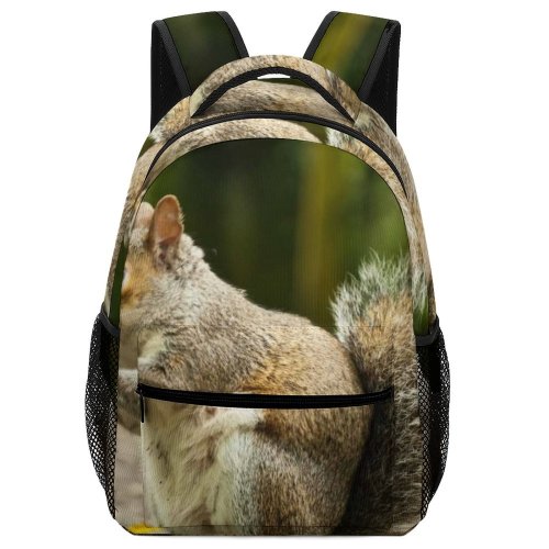 yanfind Children's Backpack Cute Focus Fur Tree Downy Soil Squirrel Tail Rodent Woods Ground Preschool Nursery Travel Bag