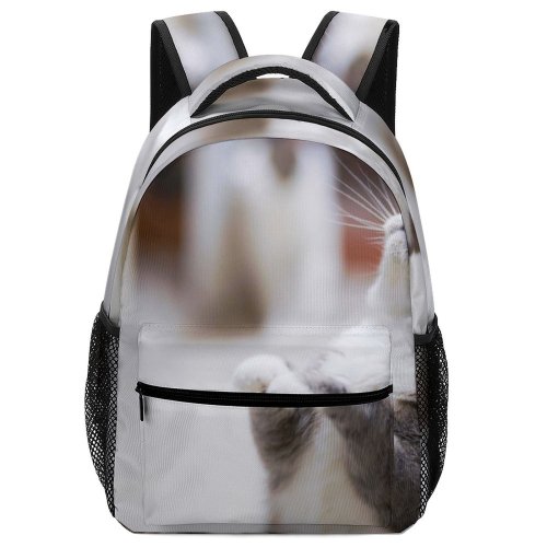 yanfind Children's Backpack Kitty Grey Pet Felidae Whiskers Cute Focus  Adorable Furry Cat Fur Preschool Nursery Travel Bag