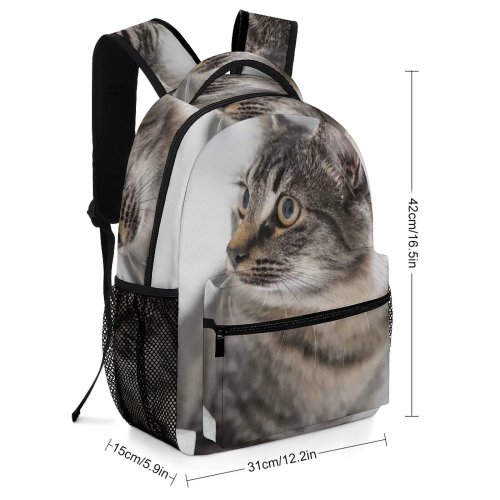 yanfind Children's Backpack Funny Curiosity Sit Cute Little Young  Tabby Family Pet Whisker Fur Preschool Nursery Travel Bag