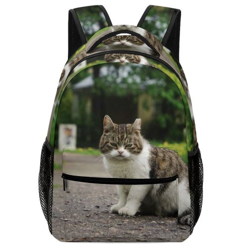 yanfind Children's Backpack Kitty Grass Pet Outdoors Kitten Garden Whiskers Curiosity Cute Face Daytime Cat Preschool Nursery Travel Bag