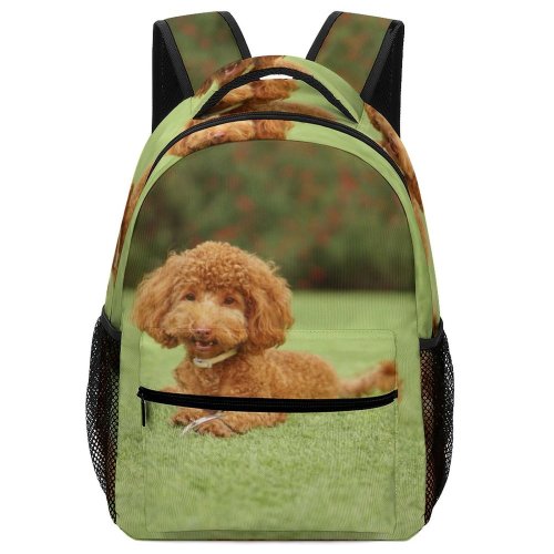 yanfind Children's Backpack Cutie Poodle Grass Garden Dog Plant Redhead Free Happy Wallpapers Puppies Preschool Nursery Travel Bag