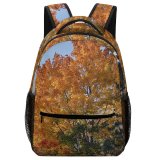 yanfind Children's Backpack Building Abies Plant Trunk Pictures Outdoors Urban Tree Fir Free Maple Preschool Nursery Travel Bag