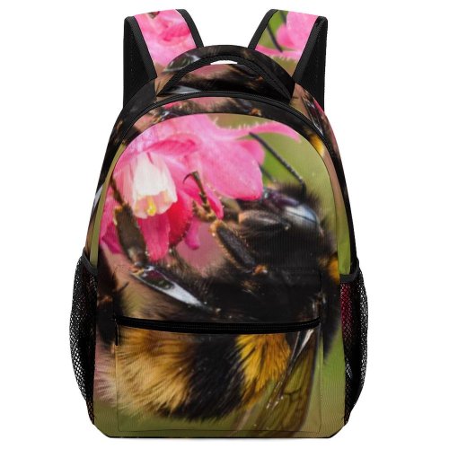 yanfind Children's Backpack Bumblebee Plant Pollen Free Upclose Bee Apidae Insect Stock Wallpapers Images Preschool Nursery Travel Bag