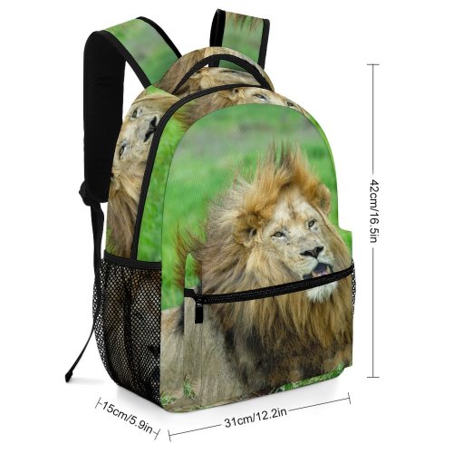 yanfind Children's Backpack  Focus Mane Wild Cat Depth Grass Field  Wildlife Hunter Big Preschool Nursery Travel Bag