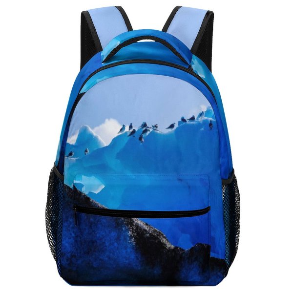 yanfind Children's Backpack Arctic Birds  Iceland  Snow Domain Public Winter  Outdoors Preschool Nursery Travel Bag