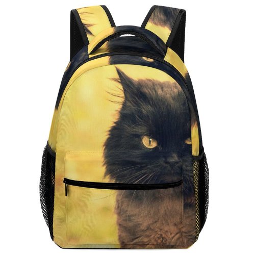 yanfind Children's Backpack Pet Outdoors Kitten Portrait Curiosity Cute Staring Furry Cat  Curious Whisker Preschool Nursery Travel Bag