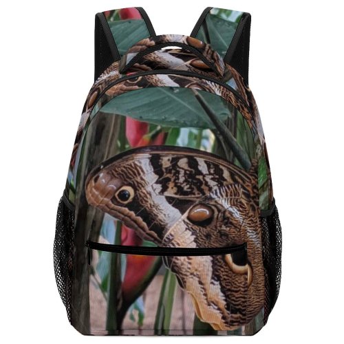 yanfind Children's Backpack Butterfly Insect Invertebrate Plant Reptile Snake Lizard Birds Preschool Nursery Travel Bag