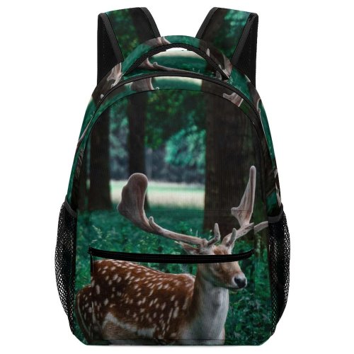 yanfind Children's Backpack Outdoors Reindeer Deer Stag Buck Park Fawn Virginia Portrait Tree Grass Wood Preschool Nursery Travel Bag