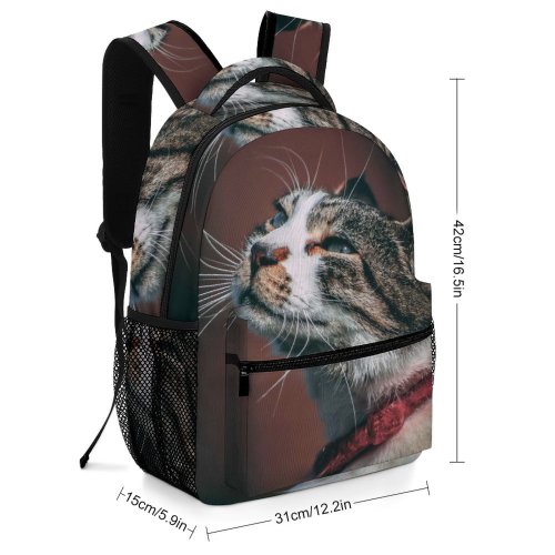 yanfind Children's Backpack Funny Cute  Portrait Staring Kitten Grey Pet Face Nose Fur Whisker Preschool Nursery Travel Bag