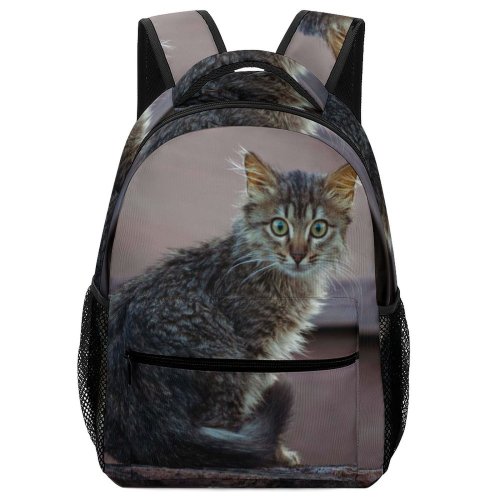 yanfind Children's Backpack Funny Curiosity Cute Cat Little  Portrait Kitten Grey Pet Whisker Fur Preschool Nursery Travel Bag