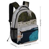 yanfind Children's Backpack Abies Hot Tree Geyser Wyoming Faithful  Pine Old Plant Fir Preschool Nursery Travel Bag