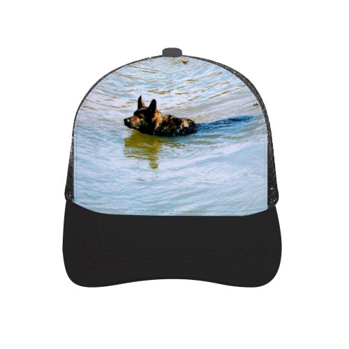 yanfind Adult Bend Rubber Baseball Hollow Out Dog Family Dogs Pond Canidae German Dobermann Carnivore Summer Sea Guard Beach,Tourism,Mountaineering,Sports, Parties,Cycling