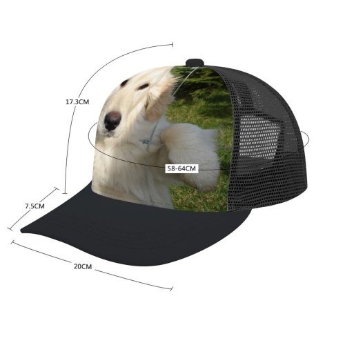 yanfind Adult Bend Rubber Baseball Hollow Out Golden Dog Puppy Outside Cute Lovable Climb Climbing Fluffy Fence Vertebrate Canidae Beach,Tourism,Mountaineering,Sports, Parties,Cycling
