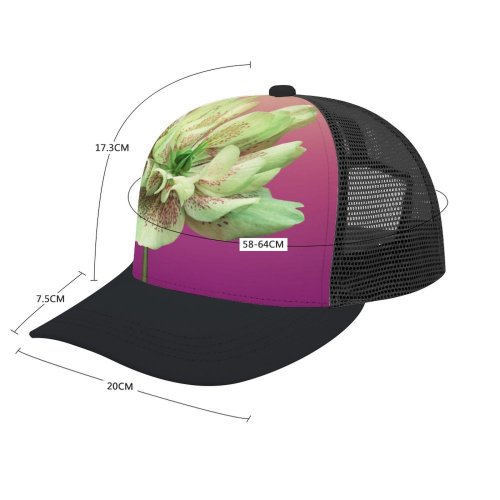 yanfind Adult Bend Rubber Baseball Hollow Out Gradient Mojave Girly Stock K Beach,Tourism,Mountaineering,Sports, Parties,Cycling
