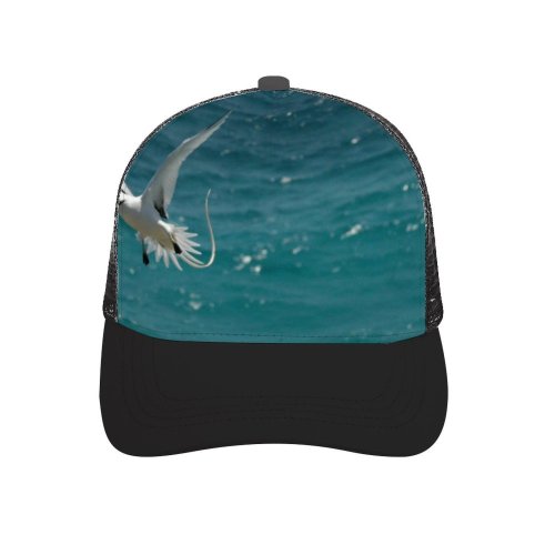 yanfind Adult Bend Rubber Baseball Hollow Out Flight Bird Freedom Spirit Beauty Spiritual Wing Seabird Beak Sky Sea Beach,Tourism,Mountaineering,Sports, Parties,Cycling