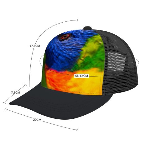 yanfind Adult Bend Rubber Baseball Hollow Out Parrot Colorful Bird Multicolor Closeup K Beach,Tourism,Mountaineering,Sports, Parties,Cycling