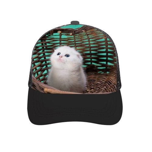 yanfind Adult Bend Rubber Baseball Hollow Out Cute Cat Kitty Basket Puppy Pet Kitten K Beach,Tourism,Mountaineering,Sports, Parties,Cycling