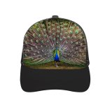 yanfind Adult Bend Rubber Baseball Hollow Out Grass Beautiful Feathers Bird Trees Colorful K Beach,Tourism,Mountaineering,Sports, Parties,Cycling