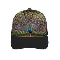 yanfind Adult Bend Rubber Baseball Hollow Out Grass Beautiful Feathers Bird Trees Colorful K Beach,Tourism,Mountaineering,Sports, Parties,Cycling